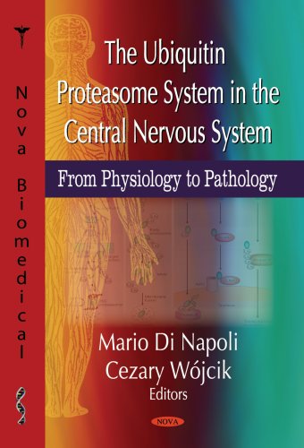 The ubiquitin proteasome system in the central nervous system : from physiology to pathology