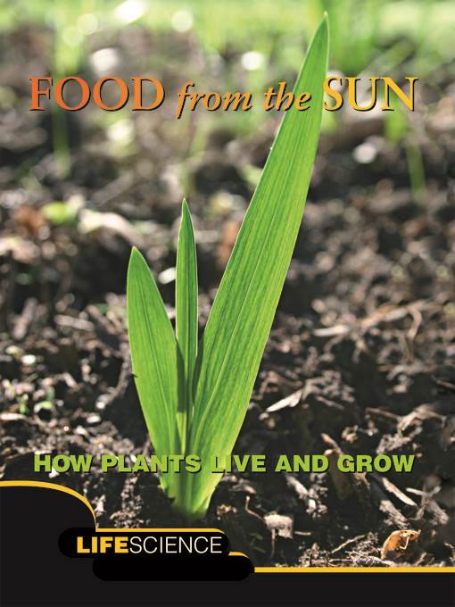 Food From the Sun