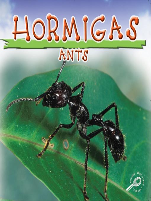 Hormigas (Ants)