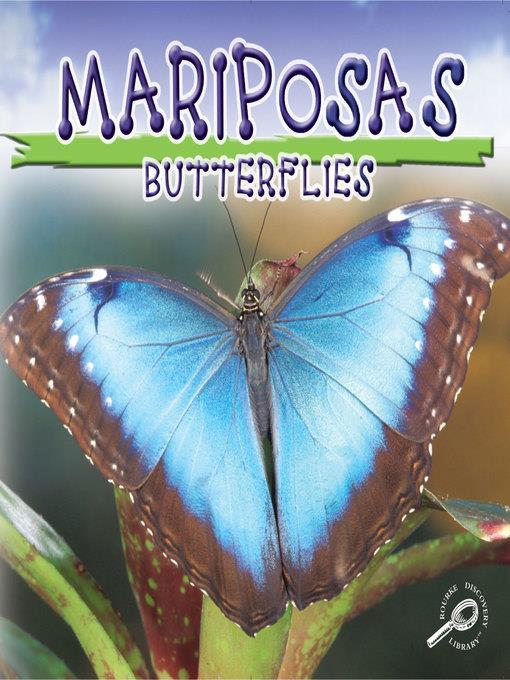 Mariposas (Butterflies)