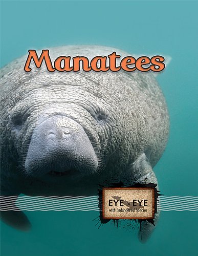 Manatees (Eye To Eye With Endangered Species)