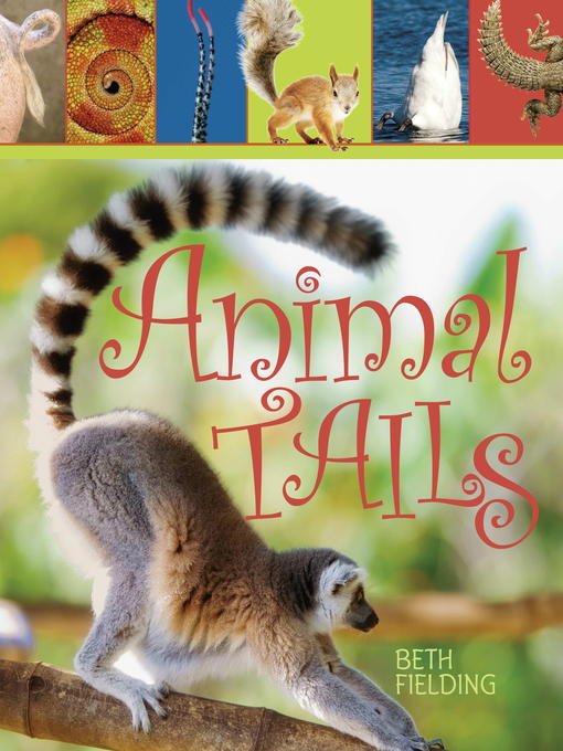 Animal Tails