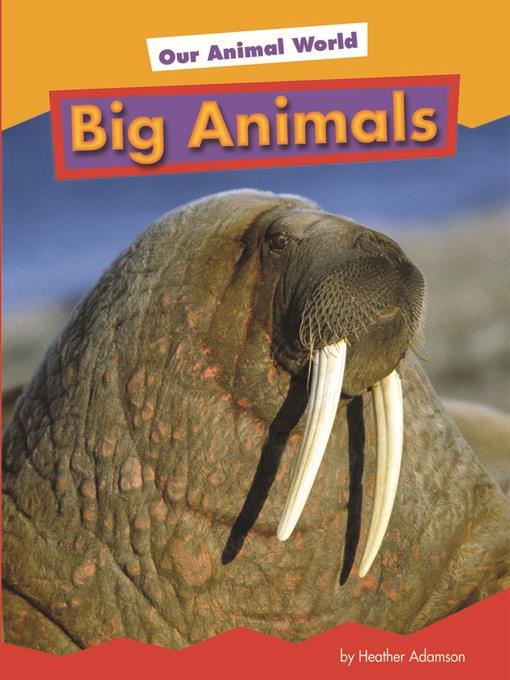 Big Animals