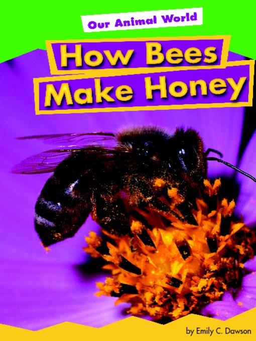 How Bees Make Honey