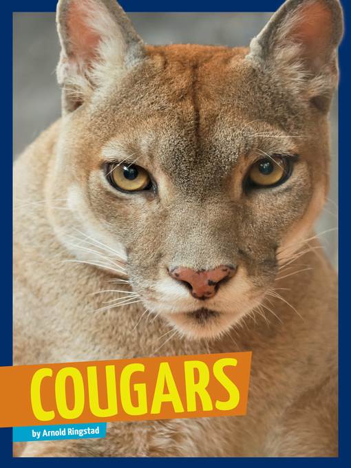 Cougars