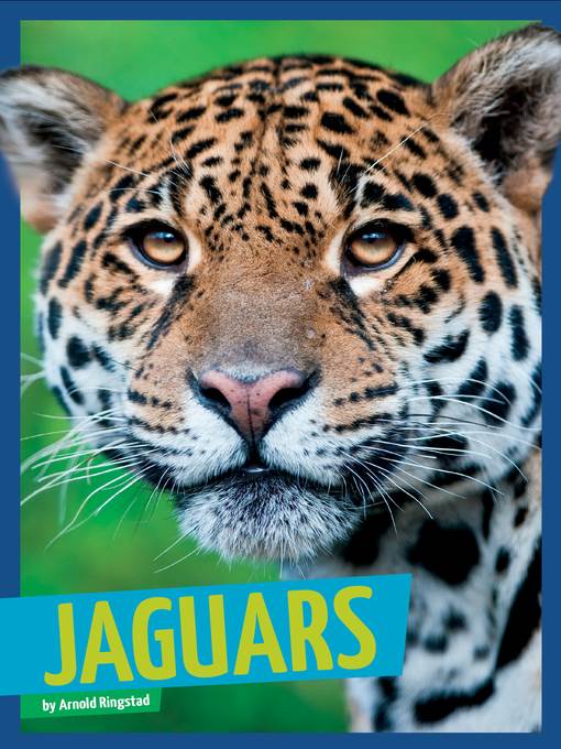 Jaguars