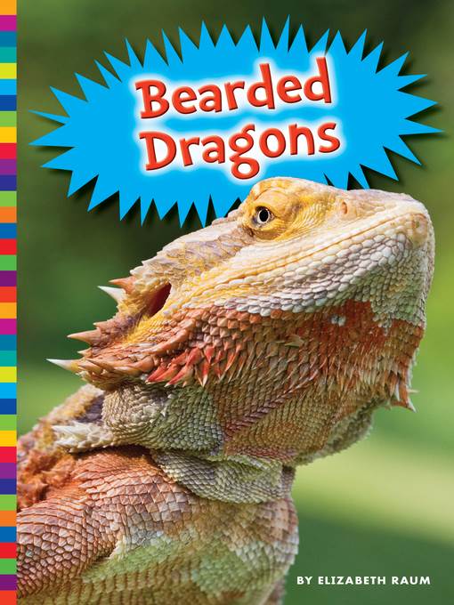 Bearded Dragons