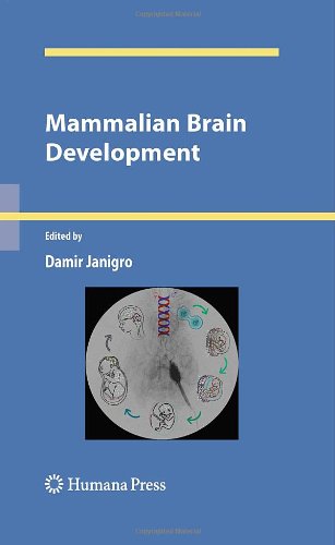 Mammalian Brain Development (Contemporary Neuroscience)