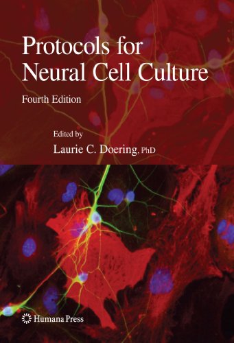 Protocols for Neural Cell Culture