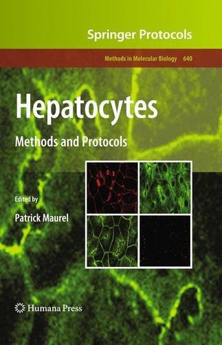 Hepatocytes