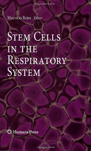 Stem Cells in the Respiratory System