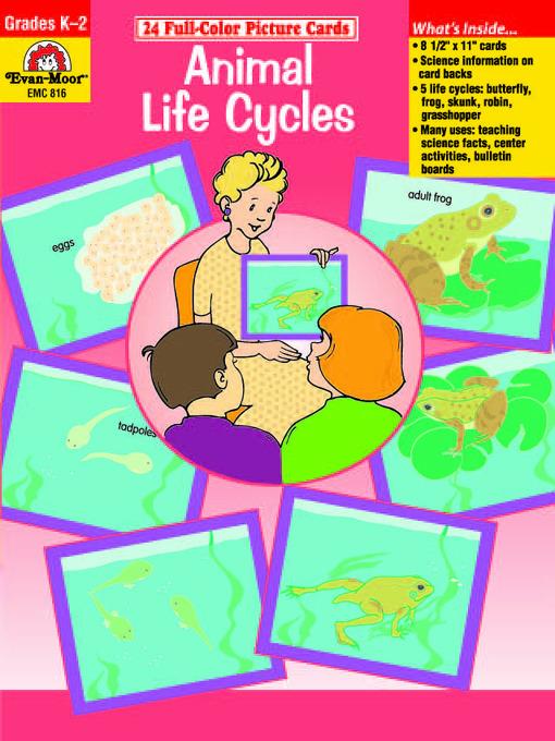 Animal Life Cycles