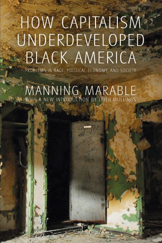 How Capitalism Underdeveloped Black America