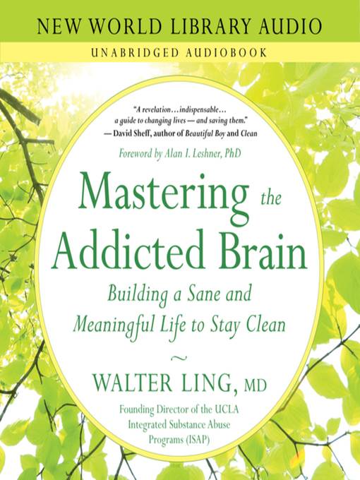 Mastering the Addicted Brain