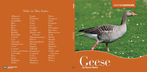 Geese.