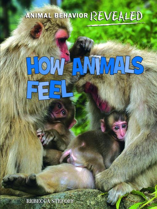 How Animals Feel