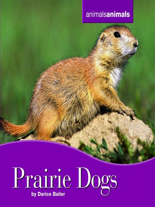 Prairie Dogs