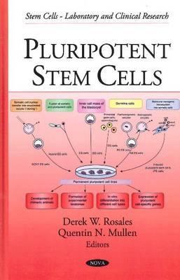 Pluripotent Stem Cells