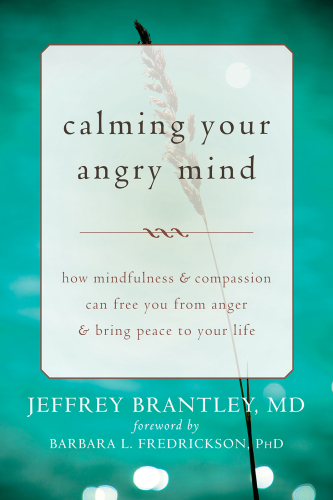 Calming Your Angry Mind