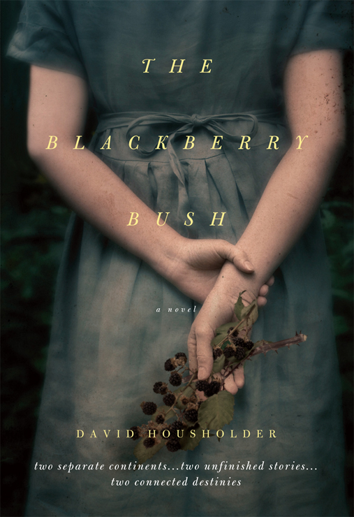 The Blackberry Bush