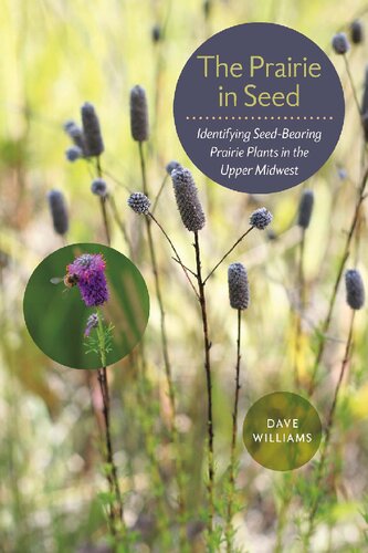 The Prairie in Seed