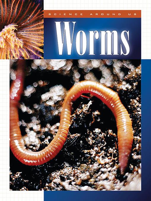 Worms