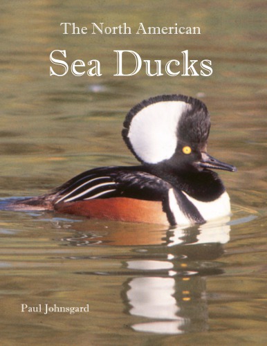 The North American Sea Ducks