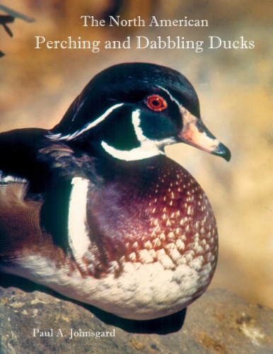 The North American Perching and Dabbling Ducks