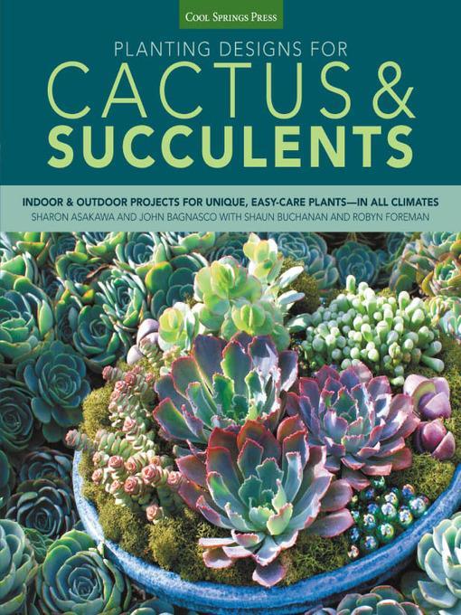 Planting Designs for Cactus & Succulents