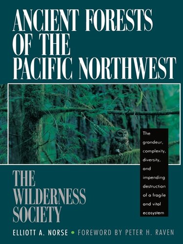 Ancient forests of the Pacific Northwest.