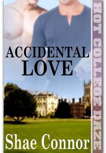 Accidental Love