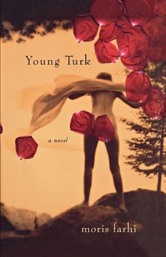 Young Turk: A Novel