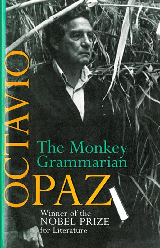 The monkey grammarian