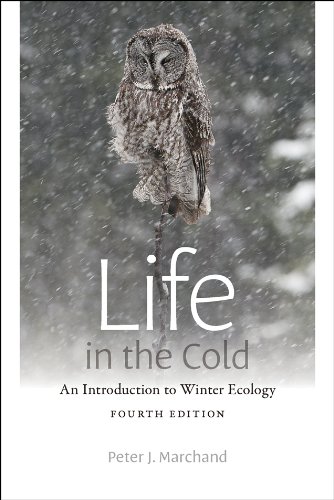 Life in the Cold
