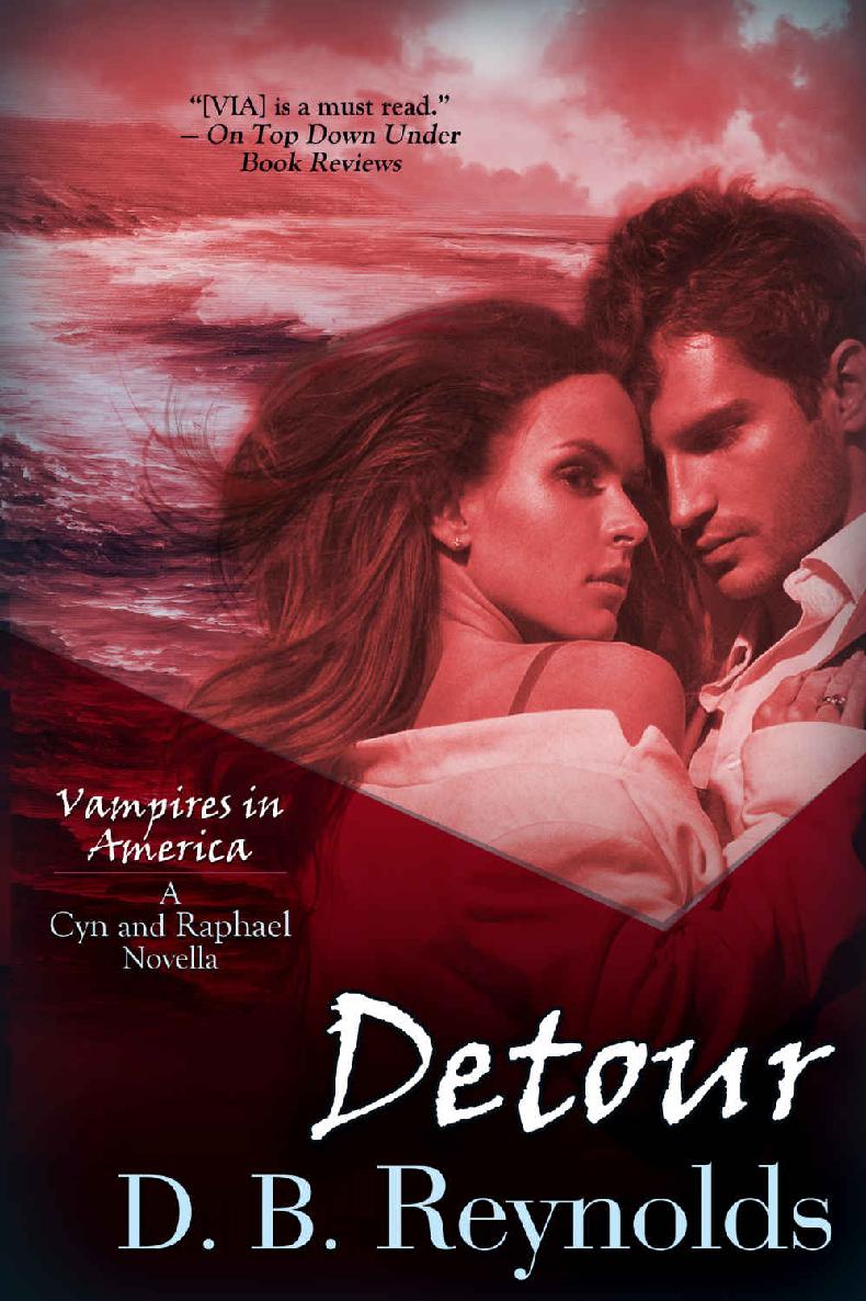Detour: A Cyn & Raphael Novella