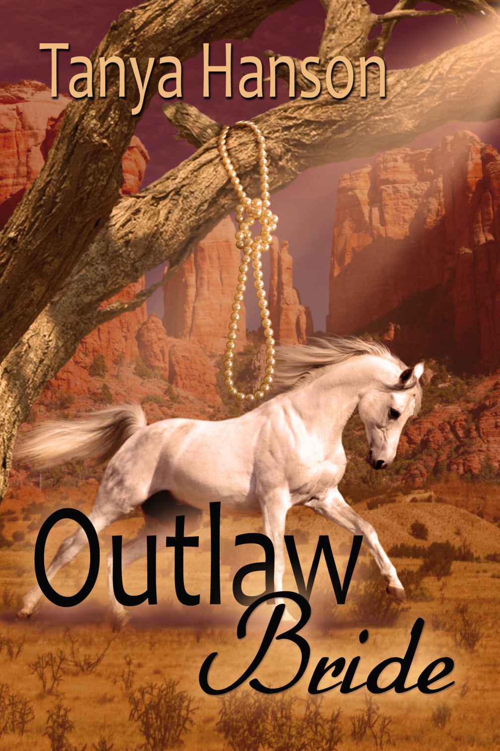 Outlaw bride