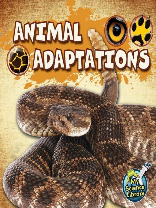 Animal Adaptations