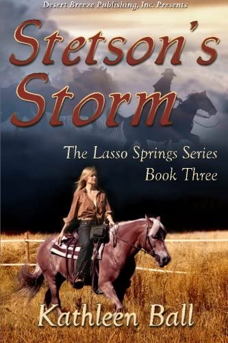 Stetson's Storm (The Lasso Springs Series) (Volume 3)