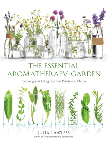 Essential Aromatherapy Garden