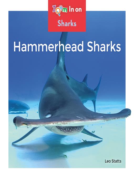 Hammerhead Sharks