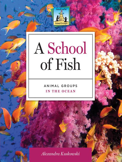 School of Fish