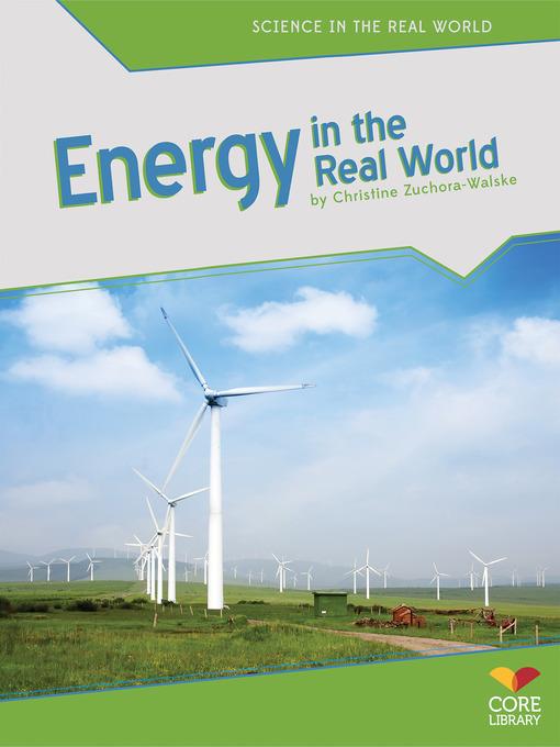 Energy in the Real World