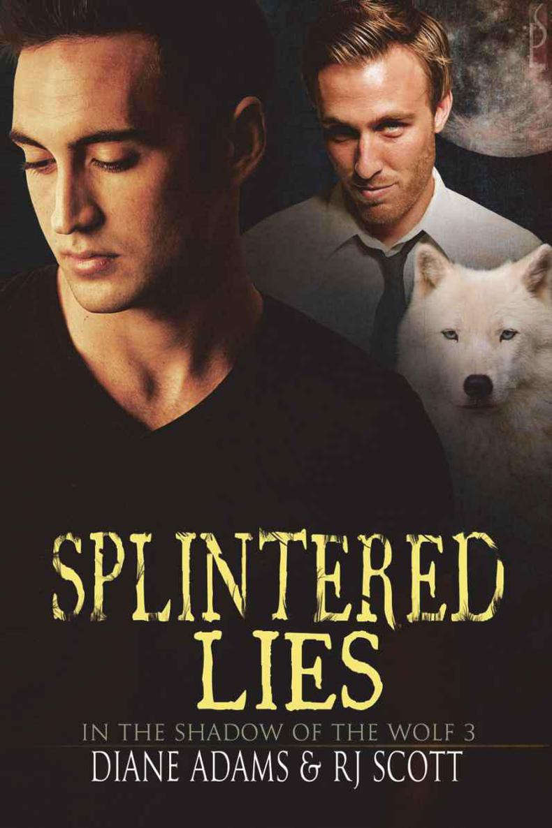 Splintered Lies