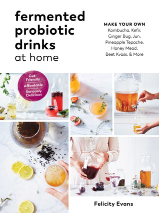 Probiotic Drinks at Home