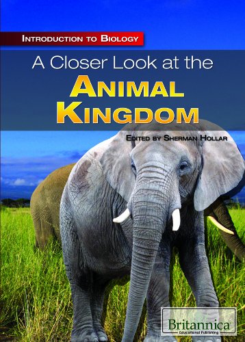 A Closer Look At The Animal Kingdom (Introduction To Biology)