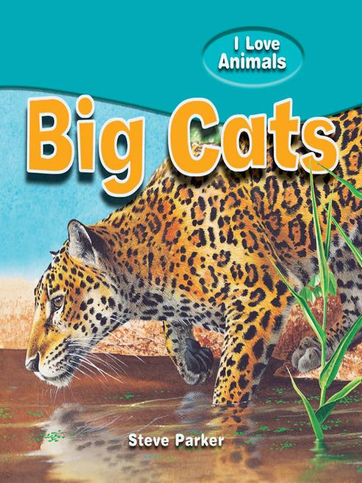 Big Cats