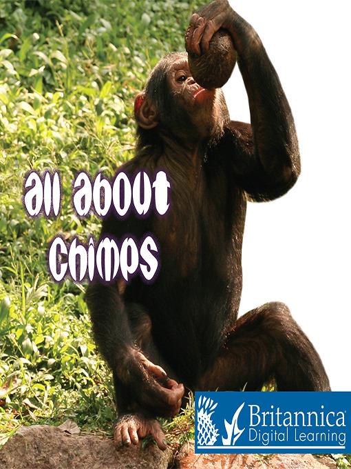 All about Chimps