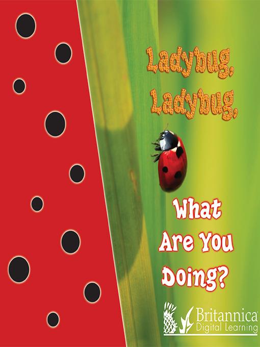 Ladybug, Ladybug, What Are You Doing?