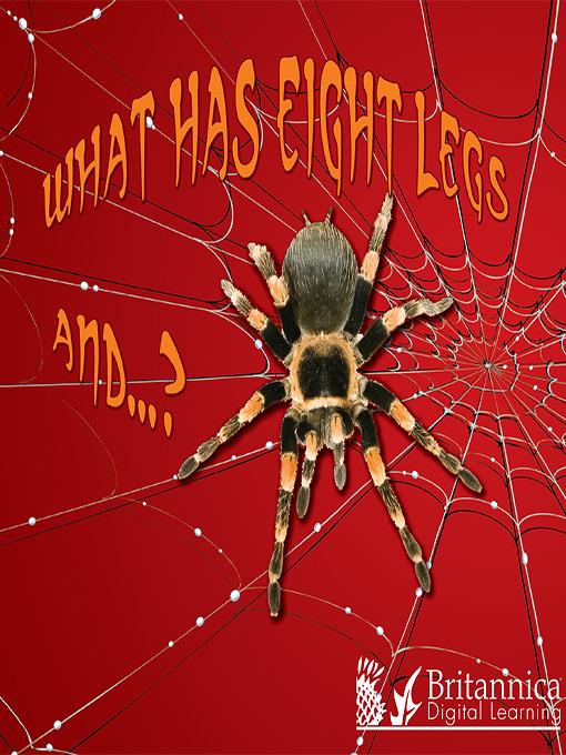 What Has Eight Legs and… ?