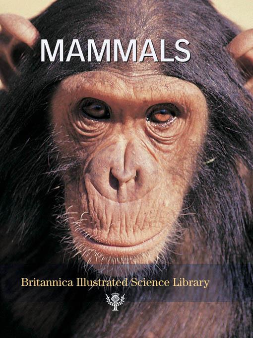 Mammals